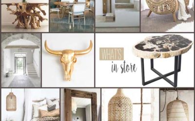 ORGANIC MODERN INTERIORS WITH TOKKARA LIVING